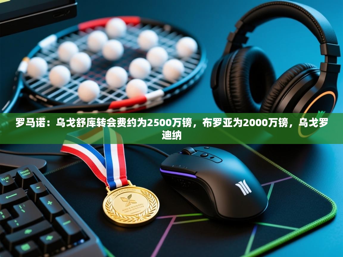 罗马诺：乌戈舒库转会费约为2500万镑，布罗亚为2000万镑，乌戈罗迪纳  第1张
