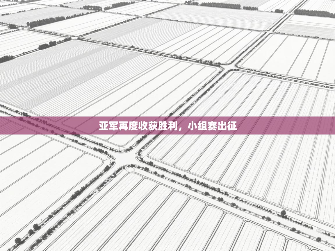 亚军再度收获胜利，小组赛出征  第1张