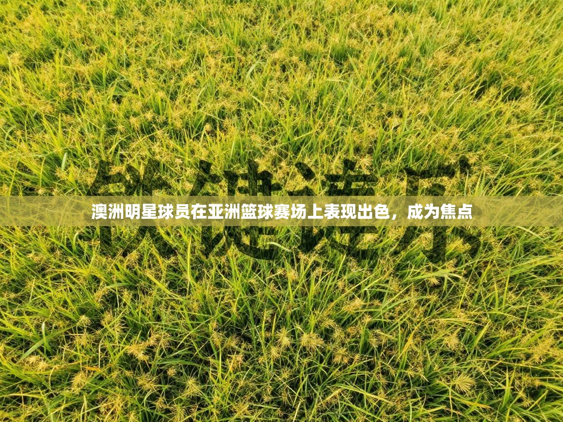 澳洲明星球员在亚洲篮球赛场上表现出色，成为焦点  第2张