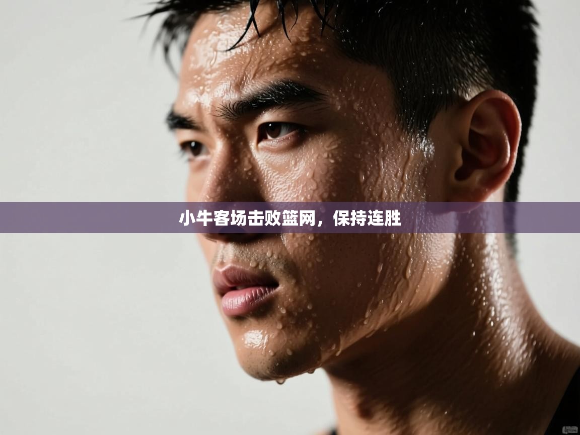 小牛客场击败篮网，保持连胜  第2张