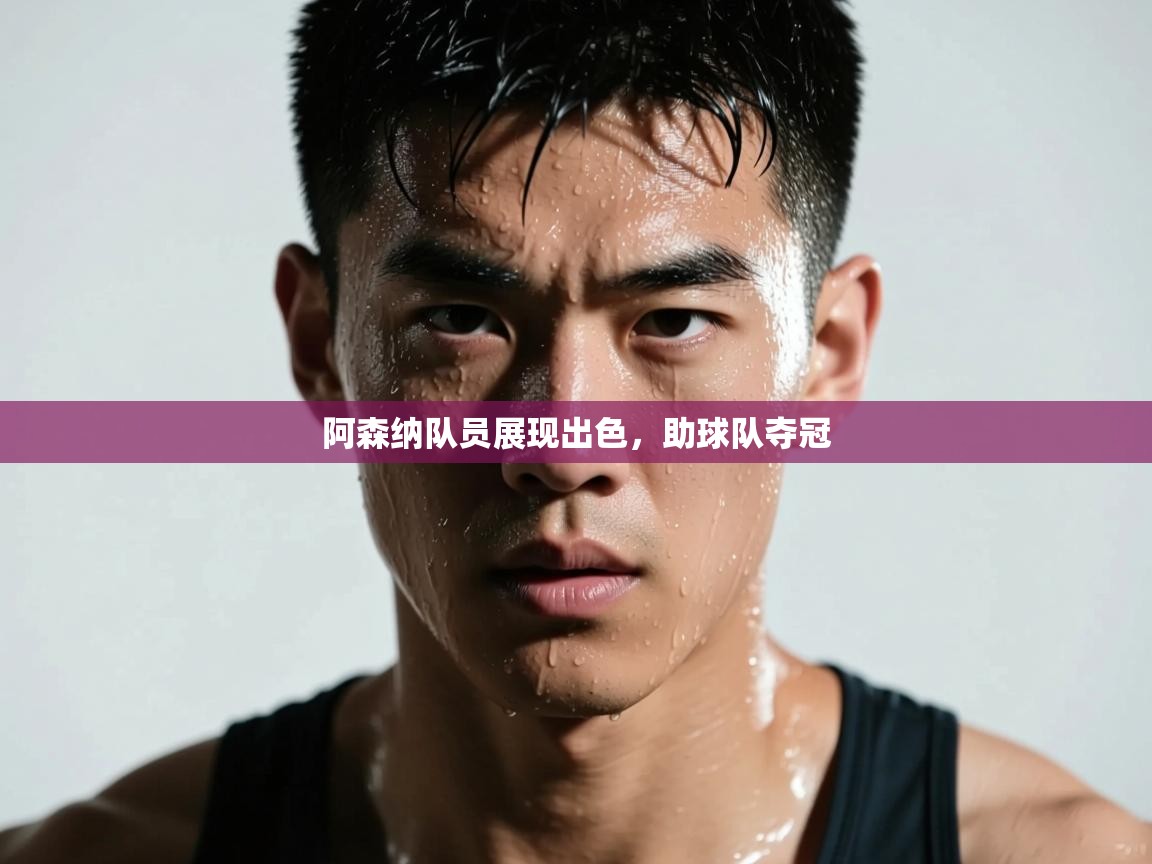 阿森纳队员展现出色,助球队夺冠 第2张