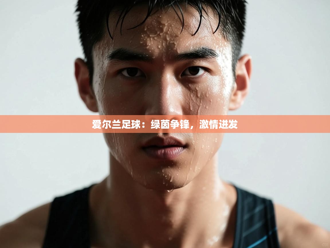 爱尔兰足球：绿茵争锋，激情迸发  第1张