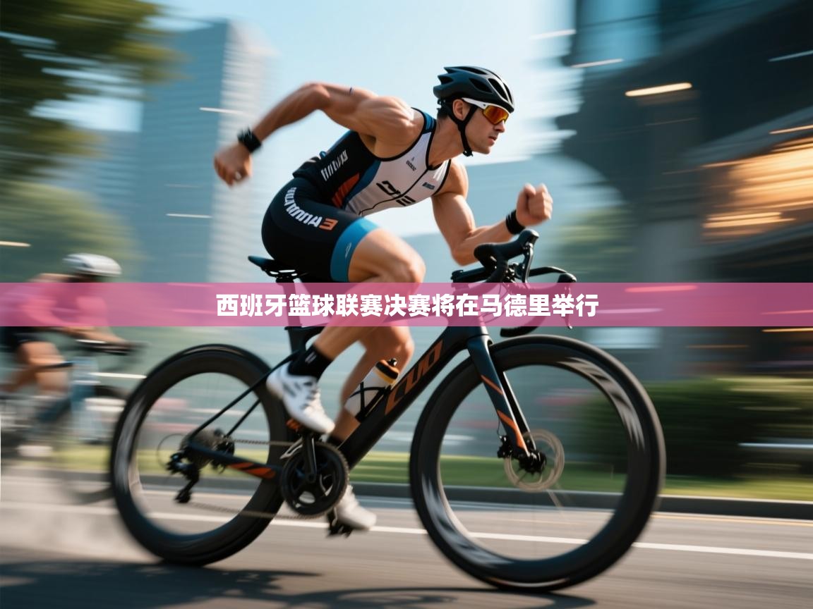 西班牙篮球联赛决赛将在马德里举行 第2张